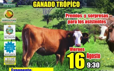 CONTROL SANITARIO Y MANEJO DE HATO GANADERO EN GANADO DE TRÓPICO