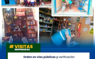 VISITAS INOPINADAS: ORDEN EN VÍAS PÚBLICAS Y VERIFICACIÓN DOCUMENTARIA DE COMERCIOS EN EL DISTRITO DE NESHUYA.
