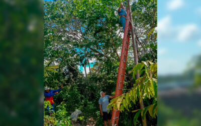 AMPLIACIÓN DE REDES ELÉCTRICAS EN EL CASERÍO NUEVO JUAN JUI